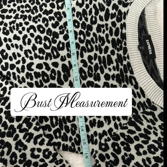 EXPRESS Animal Print Sweater Soft Stretch Long Sleeve Pull Over Women’s Small - Picture 9 of 11